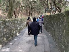 -普陀山风景区-佛顶山