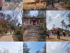 -青龙山国家森林公园