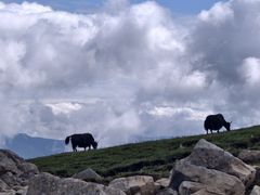 -灵山