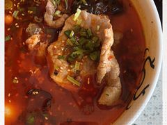 -DaLongYi Hotpot - 大龙燚火锅 - 地道四川老火锅