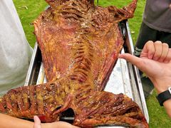 -美丽南方·老木棉匠园·团建烧烤·烤全羊