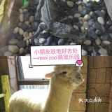 小朋友放电好去处—mini zoo萌宠王国