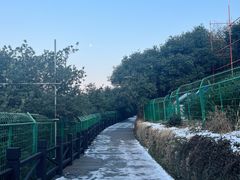 -树山生态村