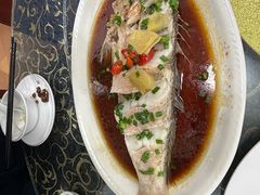 -梅子大排档