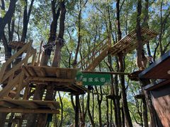 -WeLope紫金山探险公园