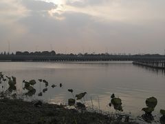 -梁鸿国家湿地公园
