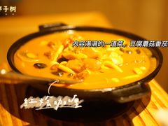 -枣子树·素食餐厅(普陀山店)