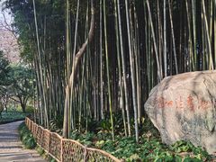 -上海醉白池公园