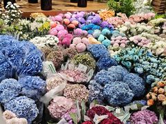 -双季花艺园艺市场(浦东店)