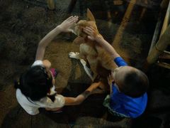 -Thiw Soen Seafood Restaurant