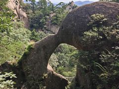 -六里坪国家森林公园