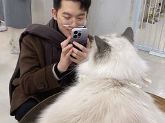 -共舞时光猫咖·狗咖(新街口店)