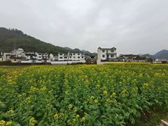 -绩溪龙川景区