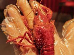 清蒸虾皇-李叔叔虾蟹大排档(青羊店)