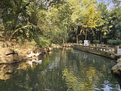 -兰亭风景区