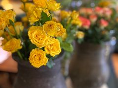 -芭莉与彩虹西餐厅(成都合生汇店)