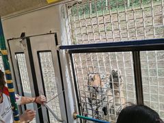 -贵州森林野生动物园