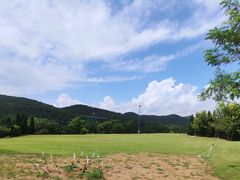 -棒棰岛宾馆景区