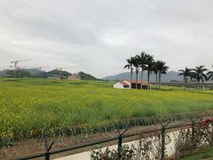 -光明小镇欢乐田园
