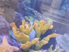 -陕西省小天鹅艺术团