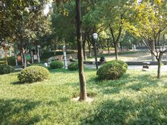 -后襄河公园