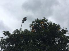 -同济大学(嘉定校区)