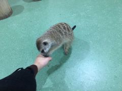 -藦茜花园宠物主题亲子互动体验馆(国顺东路店)