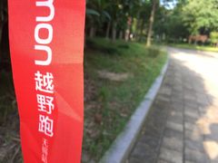 -宝界山林公园