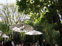 -Fern Forest Cafe