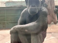 -石家庄市动物园