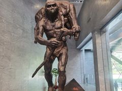 -北京周口店北京人遗址博物馆
