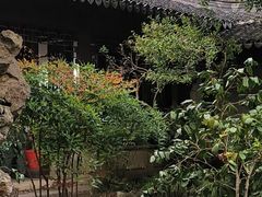 -秋霞圃
