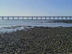 -黑石礁公园