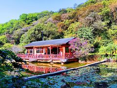 -云溪植物园
