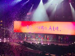 -南京奥林匹克体育中心-体育馆