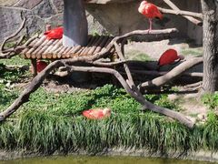 -上海野生动物园