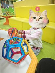 -莫莉幻想儿童乐园(北京华联亦庄购物中心店)