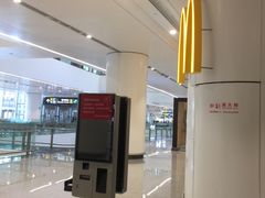 -麦当劳(北京大兴机场二层国内到达(安检外)店)
