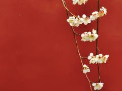 -钱王祠