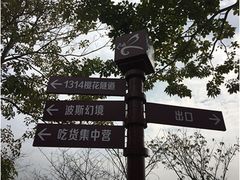 -天适樱花悠乐园