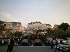 -太仓玛丽蒂姆花园酒店·雅轩中餐厅(人民北路店)