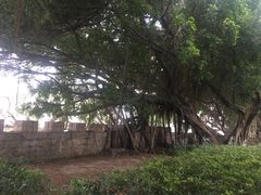 -海堤纪念公园