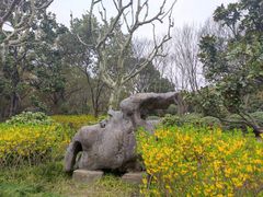 -黄兴公园