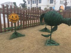 -明珠湖天鹅苑·农家菜馆