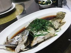 -金苑酒家·客家菜·广东老字号(万象店)