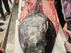 -龙悦湾酒家·八阵鱼生·渔人码头店