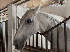 -月河湾马术俱乐部(朝阳店)