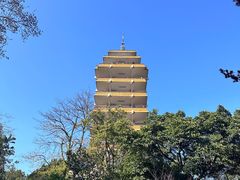 -鹅岭公园瞰胜楼