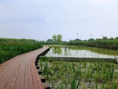 -永定河休闲森林公园