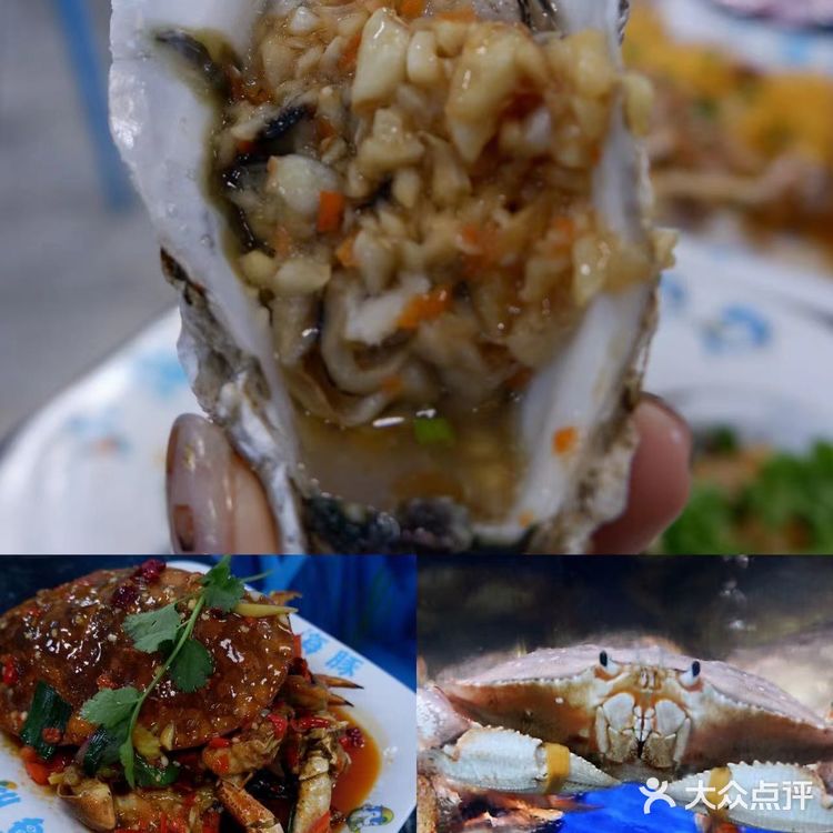 三亚探店‖吃了小海豚海鲜我跪了